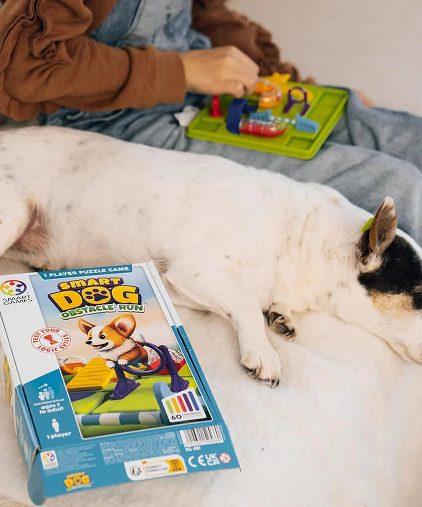 SmartGames Counting Sheep, Fun IQ Brain Teaser Puzzle, Cognitive Development STEM Toy with 60+ Challenges, Travel Friendly Tabletop Educational Matching Puzzle Game, Suitable for Children Above 7+