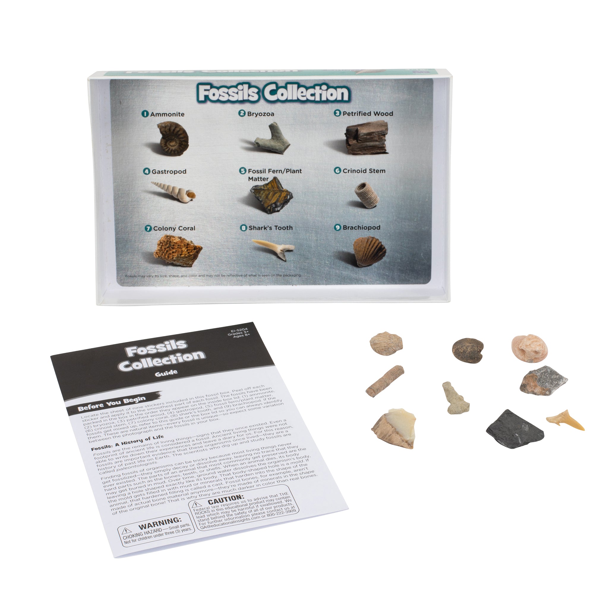 Learning Resources Complete Rock, Mineral & Fossil Collection, 57 Hand-Picked Specimens with Identification Chart & Activity Guide, Educational Geology Set for Kids Ages 8+