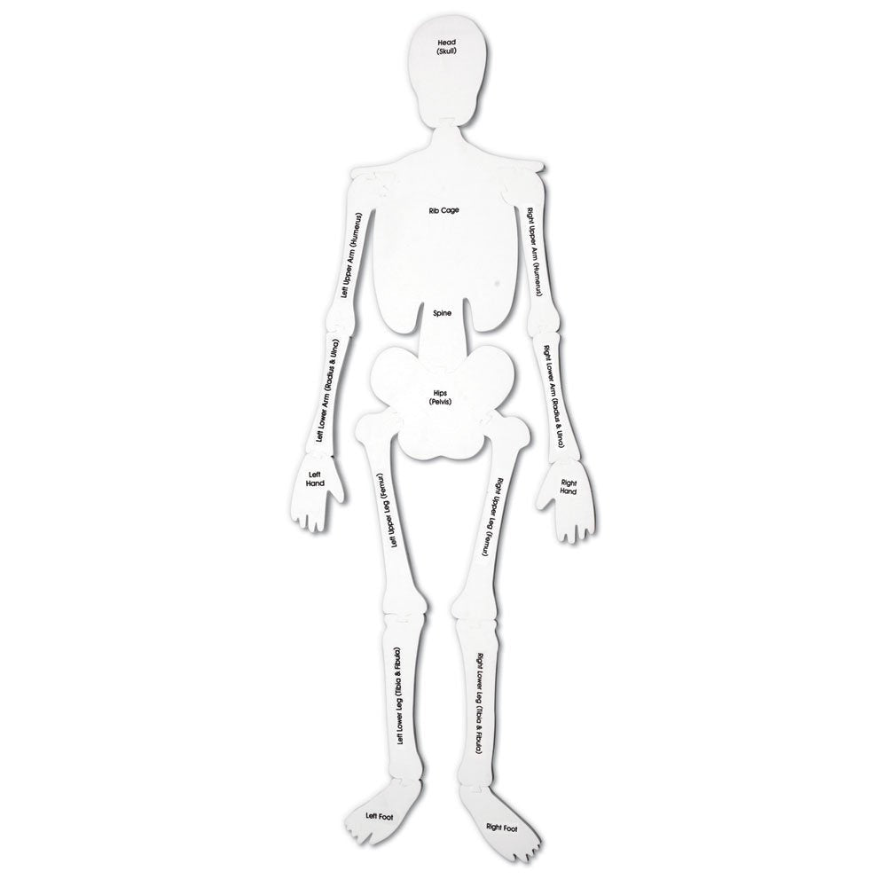Learning Resources Skeleton Foam Floor Puzzle, 122cm Tall Human Body Learning Toy for Kids, 15 Soft Foam Pieces with Bone Names on Reverse, Educational Anatomy Puzzle for Early Learners