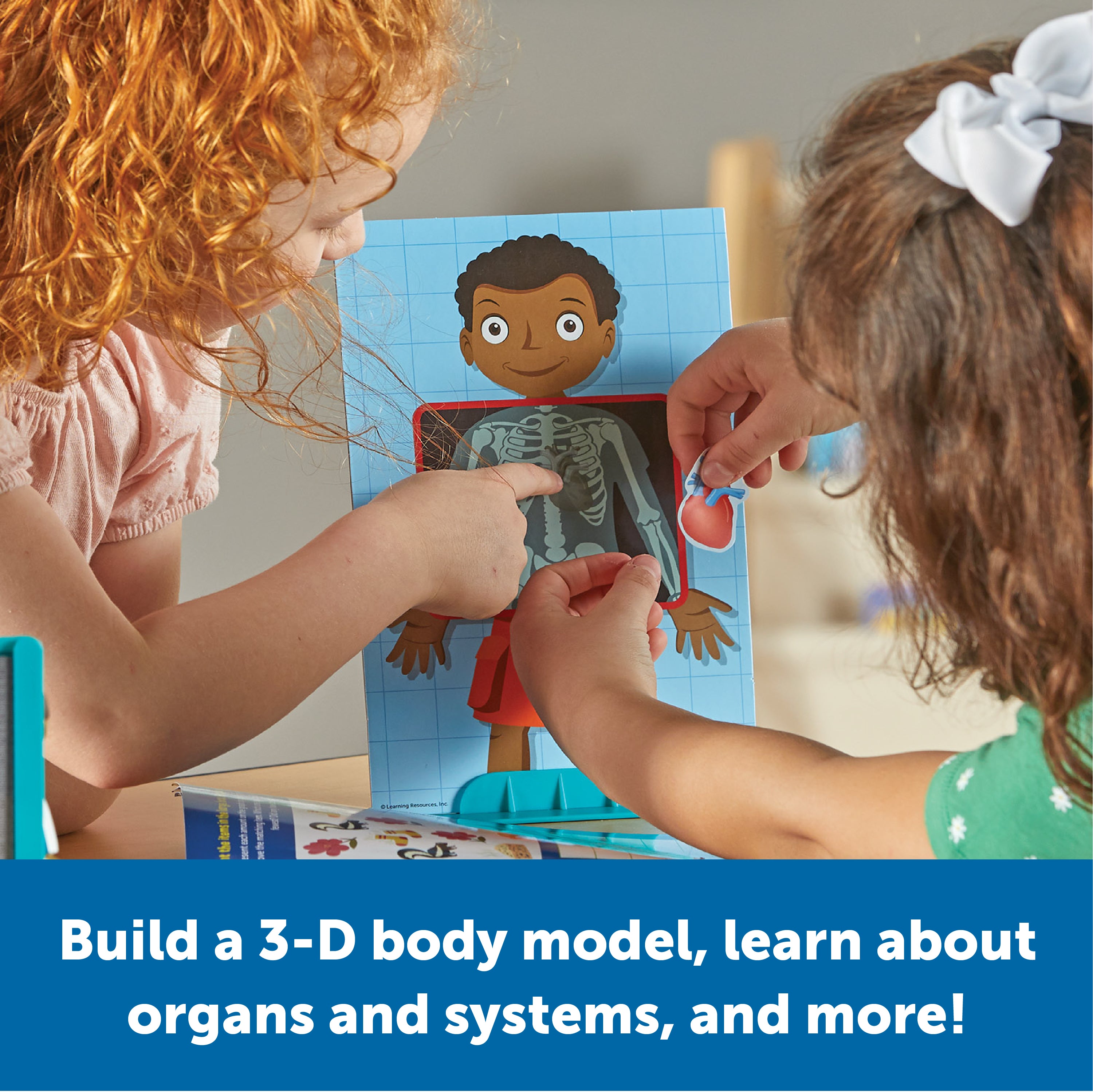 Learning Resources Skill Builders! Human Body, Preschool Science Kit with Activity Book, X-Ray Cards, and 3D Organs, STEM Learning for Ages 4+