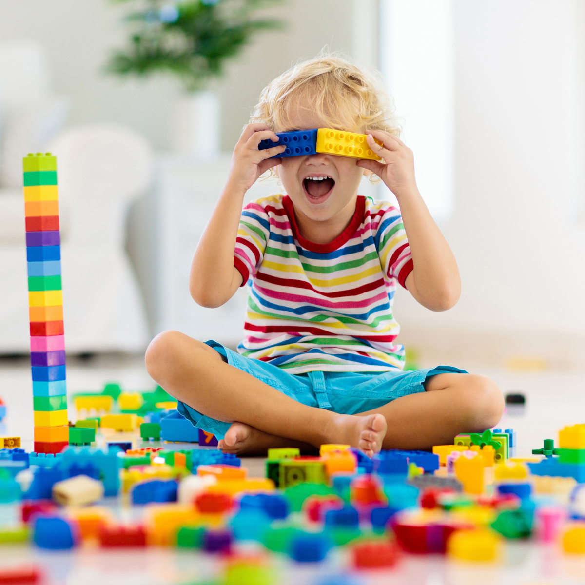 Construction & Building