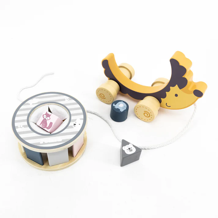 PolarB Wooden Hedgehog with Sorting Wheel | 2-in-1 Pull-Along and Shape Sorting Toy for Kids Age 2+