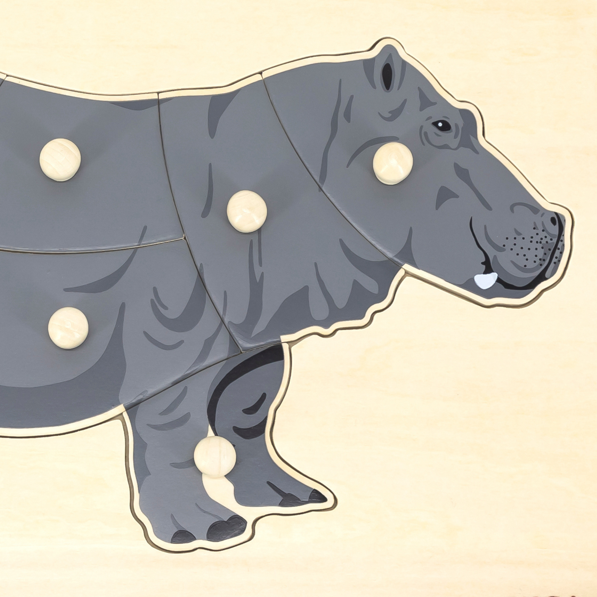 Viga Hippo, Wild Animals, 8 Piece Knob Puzzle, Montessori Wooden Toy, Develops Sensory, Cognitive & Fine Motor Skills, Non-Toxic & Eco-friendly Kids Educational Toy, Suitable for Children Aged 18M+