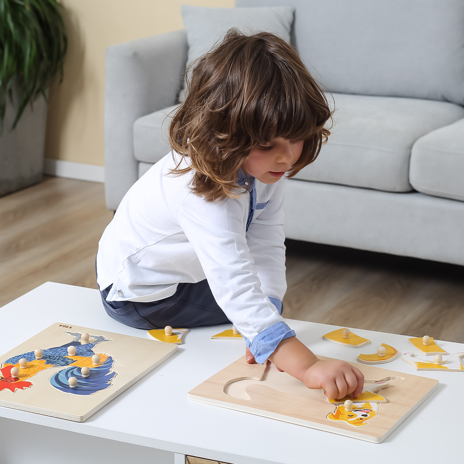 Viga Set of 12, 8-9 Piece Knob Puzzle, Montessori Wooden Toy, Develops Sensory, Cognitive & Fine Motor Skills, Non-Toxic & Eco-friendly Kids Educational Toy, Suitable for Boys and Girls Aged 18M+