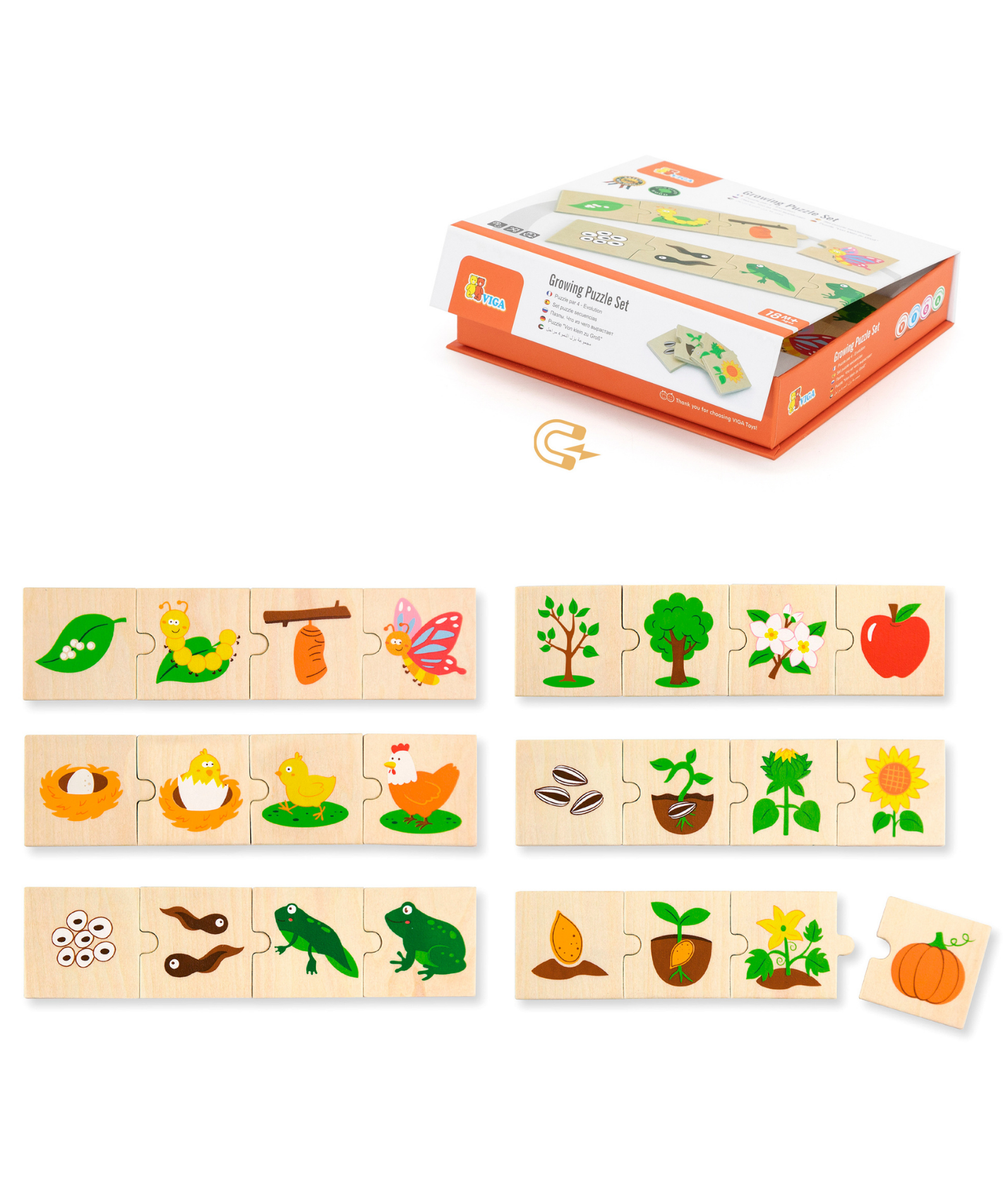 Viga Growing Plants & Animals, 24 Piece Mix & Match Puzzle, Montessori Wooden Toy, Develops Sensory, Cognitive & Fine Motor Skills, Non-Toxic & Eco-friendly Kids Educational Toy, 18M+