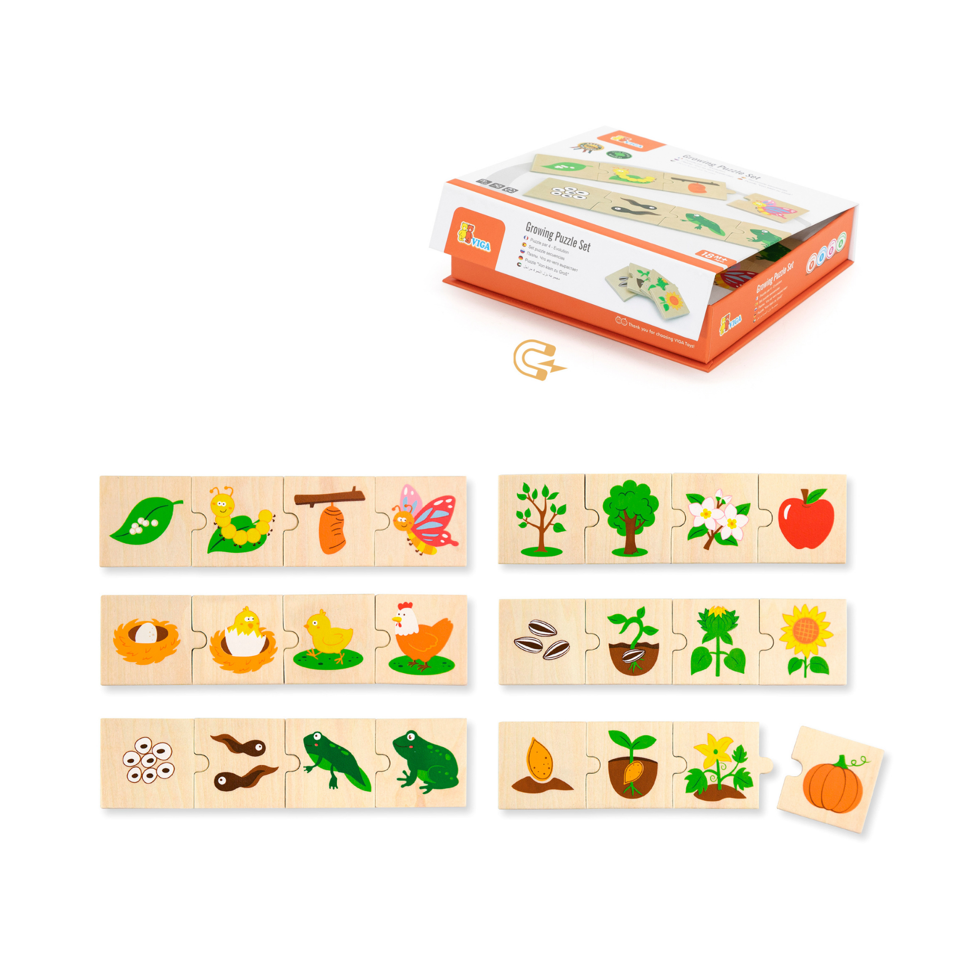 Viga Growing Plants & Animals, 24 Piece Mix & Match Puzzle, Montessori Wooden Toy, Develops Sensory, Cognitive & Fine Motor Skills, Non-Toxic & Eco-friendly Kids Educational Toy, 18M+