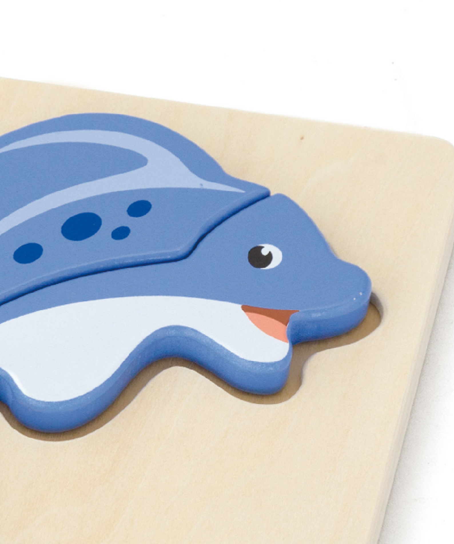 Viga Fish, 3 Piece Block Puzzle, Montessori Wooden Toy, Develops Sensory, Cognitive & Fine Motor Skills, Non-Toxic & Eco-friendly Kids Educational Toy, Suitable for Boys and Girls Aged 18M+