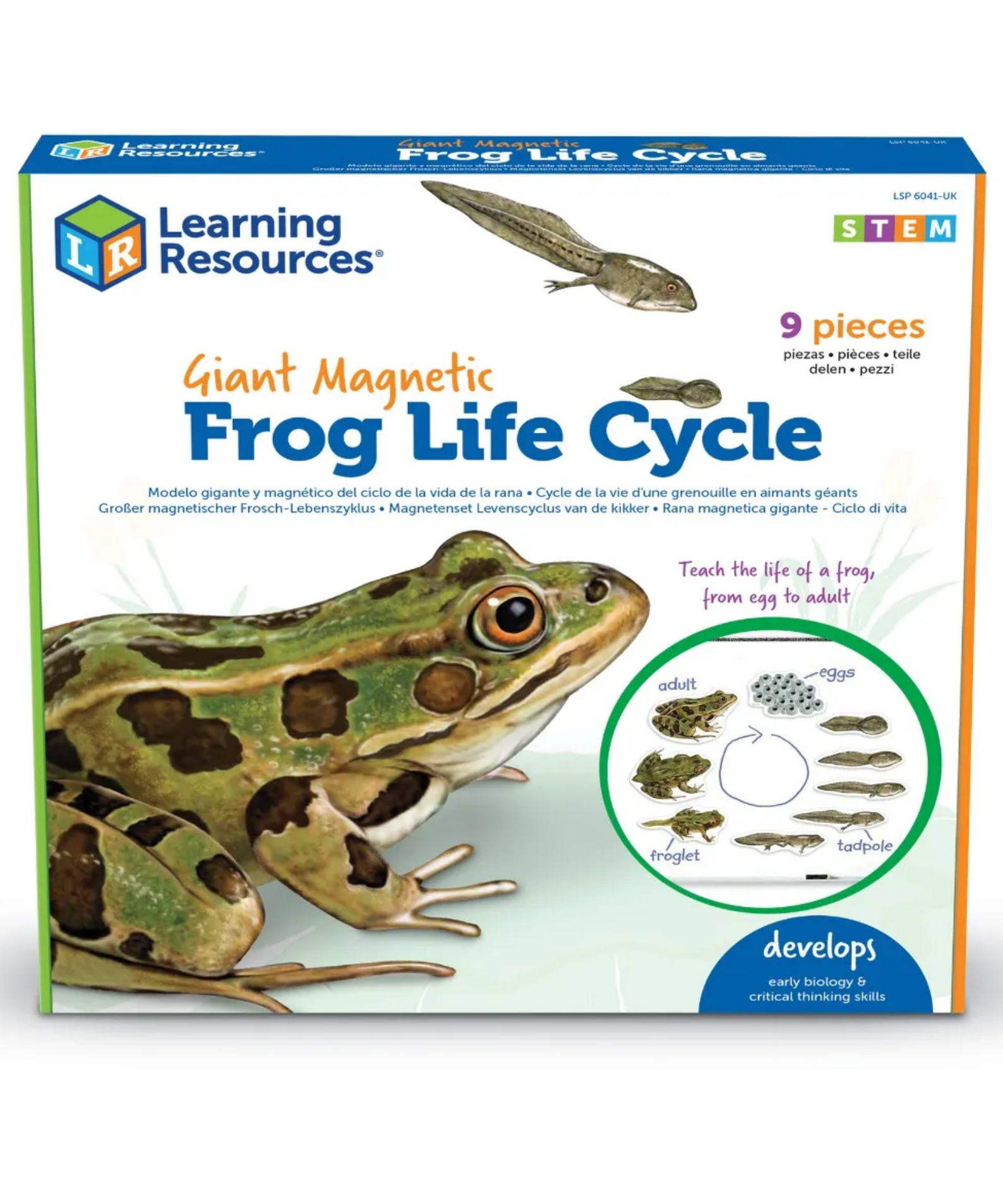 Learning Resources Giant Mag Frog Life Cycle Demo Set, Jumbo Magnets for Whiteboard Demonstrations, Ideal for Teaching Frog Life Cycle, Wipe-Clean for Labelling, Includes 9 Magnets