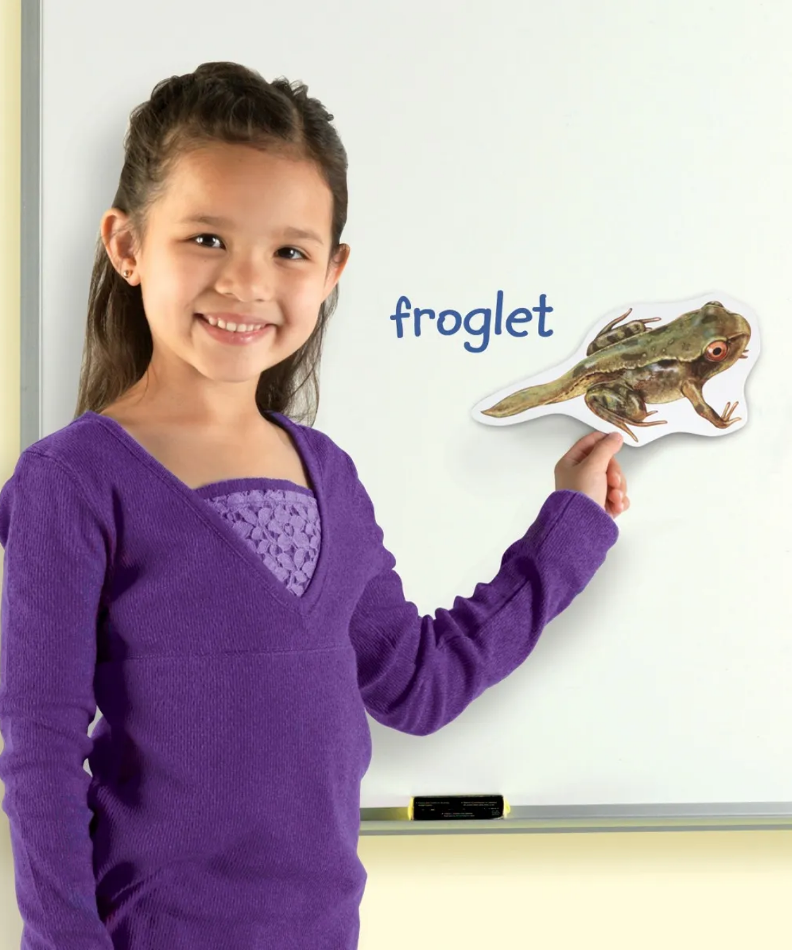 Learning Resources Giant Mag Frog Life Cycle Demo Set, Jumbo Magnets for Whiteboard Demonstrations, Ideal for Teaching Frog Life Cycle, Wipe-Clean for Labelling, Includes 9 Magnets