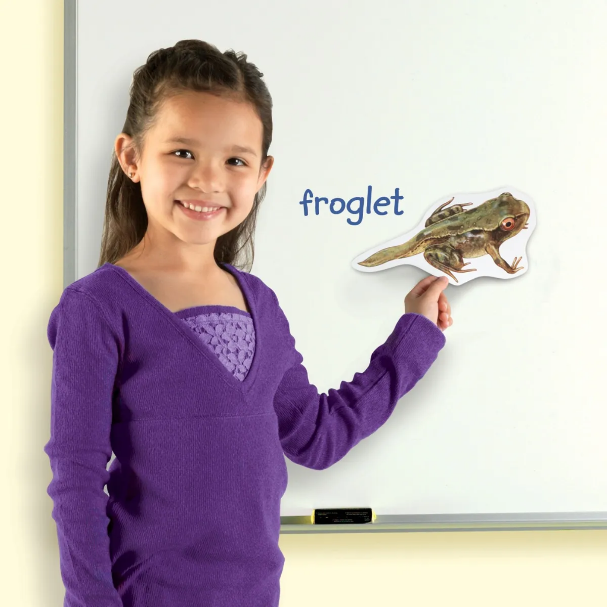 Learning Resources Giant Mag Frog Life Cycle Demo Set, Jumbo Magnets for Whiteboard Demonstrations, Ideal for Teaching Frog Life Cycle, Wipe-Clean for Labelling, Includes 9 Magnets