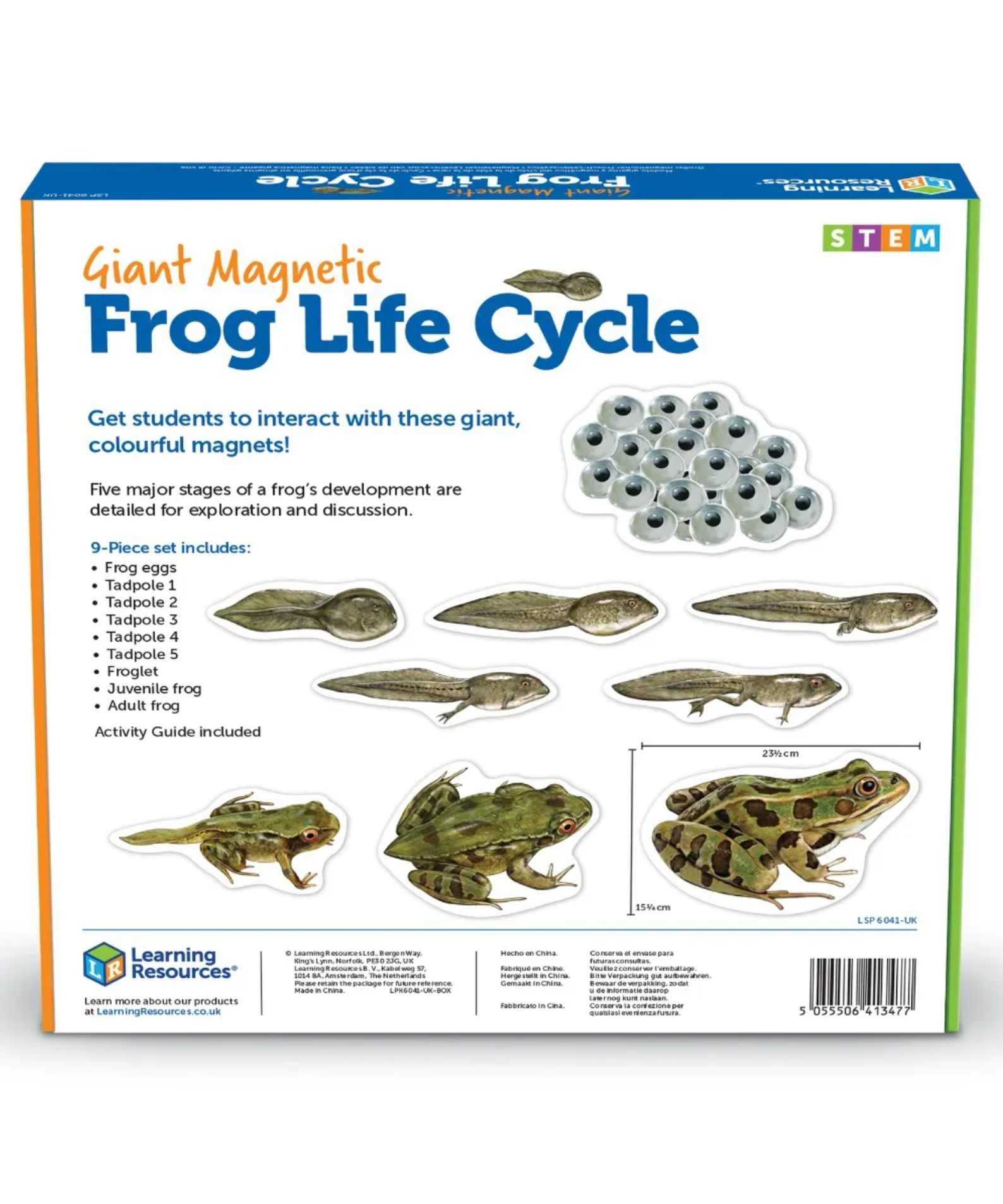 Learning Resources Giant Mag Frog Life Cycle Demo Set, Jumbo Magnets for Whiteboard Demonstrations, Ideal for Teaching Frog Life Cycle, Wipe-Clean for Labelling, Includes 9 Magnets