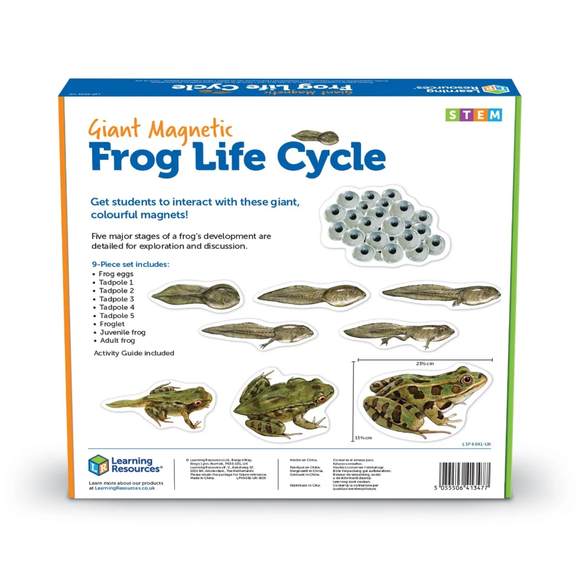 Learning Resources Giant Mag Frog Life Cycle Demo Set, Jumbo Magnets for Whiteboard Demonstrations, Ideal for Teaching Frog Life Cycle, Wipe-Clean for Labelling, Includes 9 Magnets