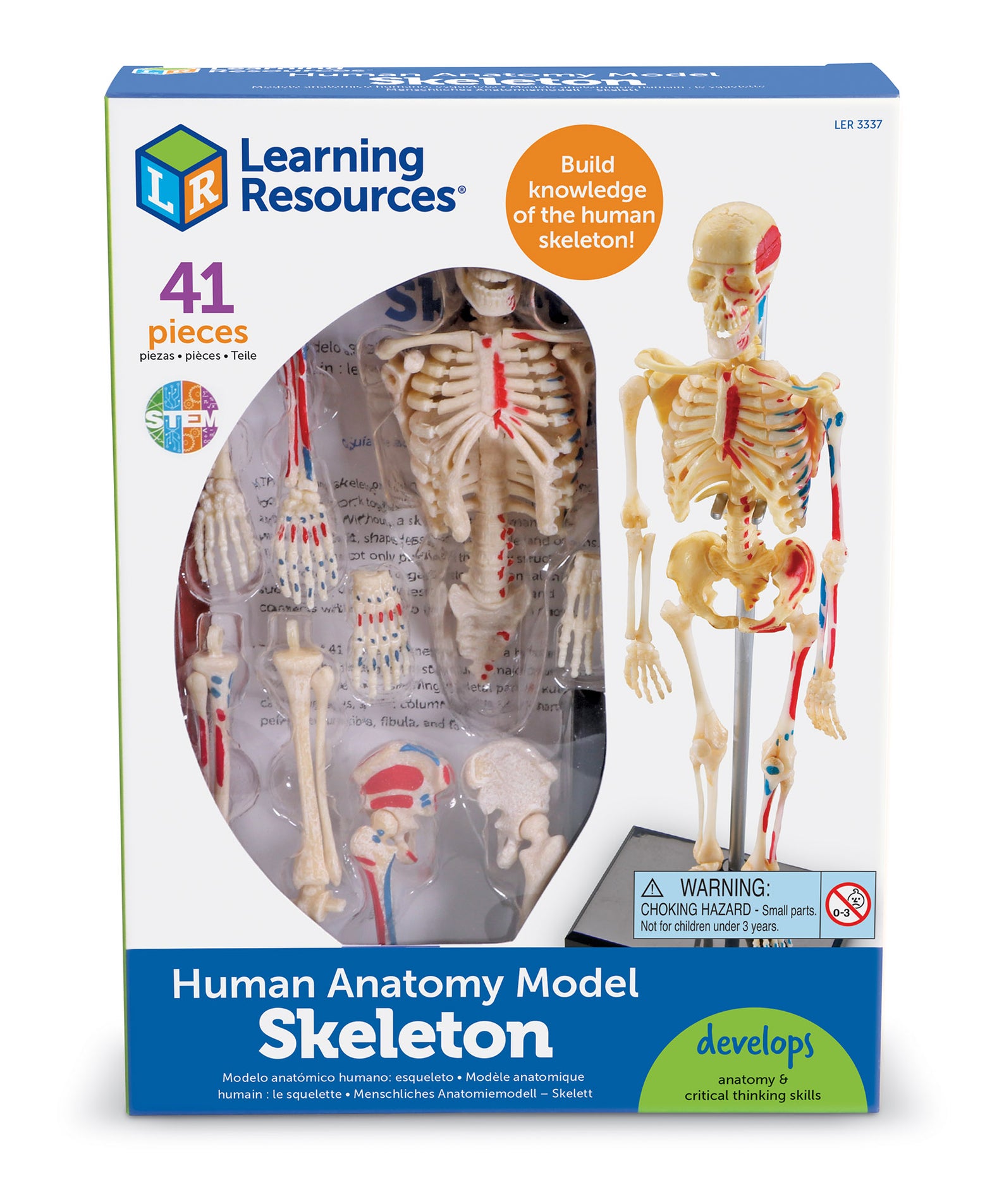 Learning Resources Skeleton Anatomy Model, 41-Piece Human Skeleton Display with Circulatory System, Educational Model for Kids 8+