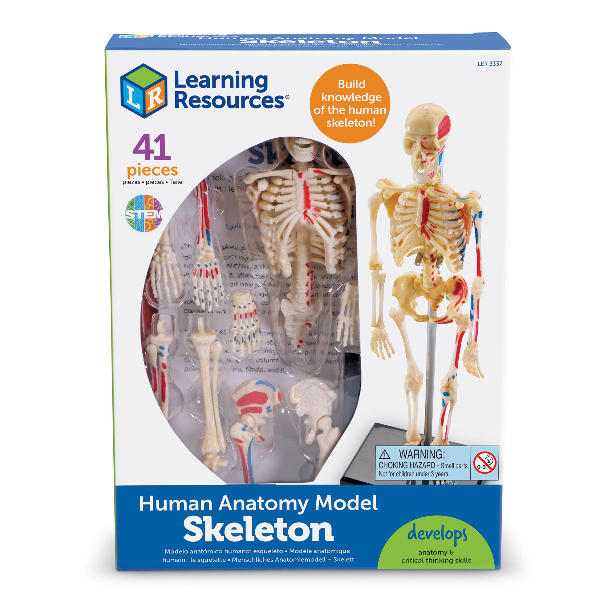 Learning Resources Skeleton Anatomy Model, 41-Piece Human Skeleton Display with Circulatory System, Educational Model for Kids 8+