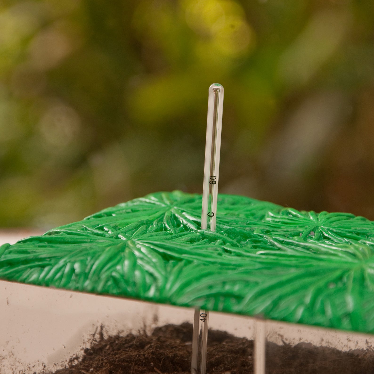 Learning Resources Now You See It, Now You Dont See-Through Compost Container, Interactive Decomposition Learning Kit, STEM Educational Resource, Ages 4+