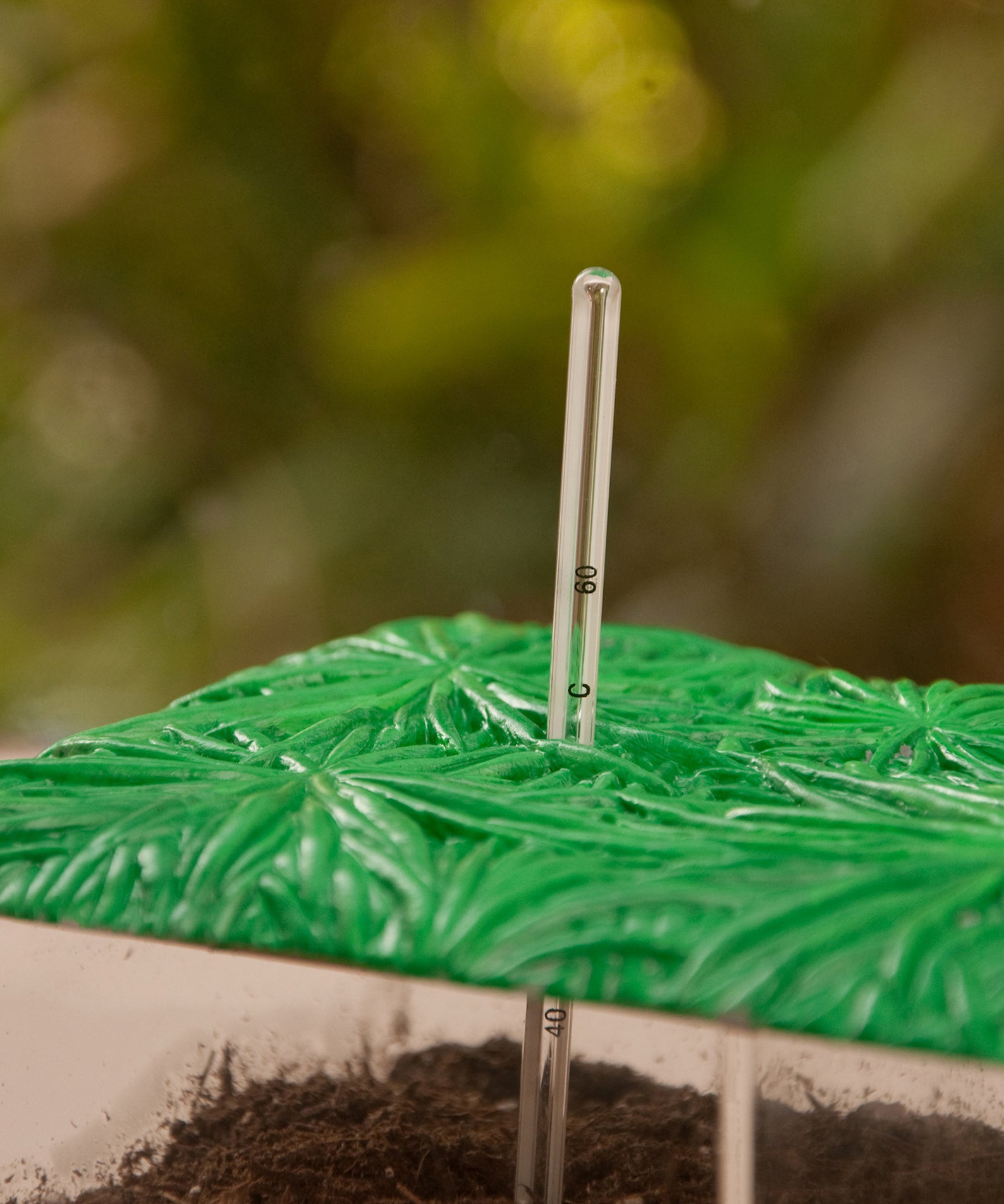 Learning Resources Now You See It, Now You Dont See-Through Compost Container, Interactive Decomposition Learning Kit, STEM Educational Resource, Ages 4+