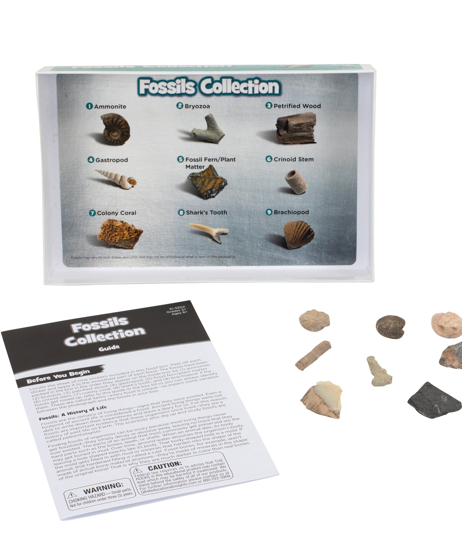 Learning Resources Complete Rock, Mineral & Fossil Collection, 57 Hand-Picked Specimens with Identification Chart & Activity Guide, Educational Geology Set for Kids Ages 8+