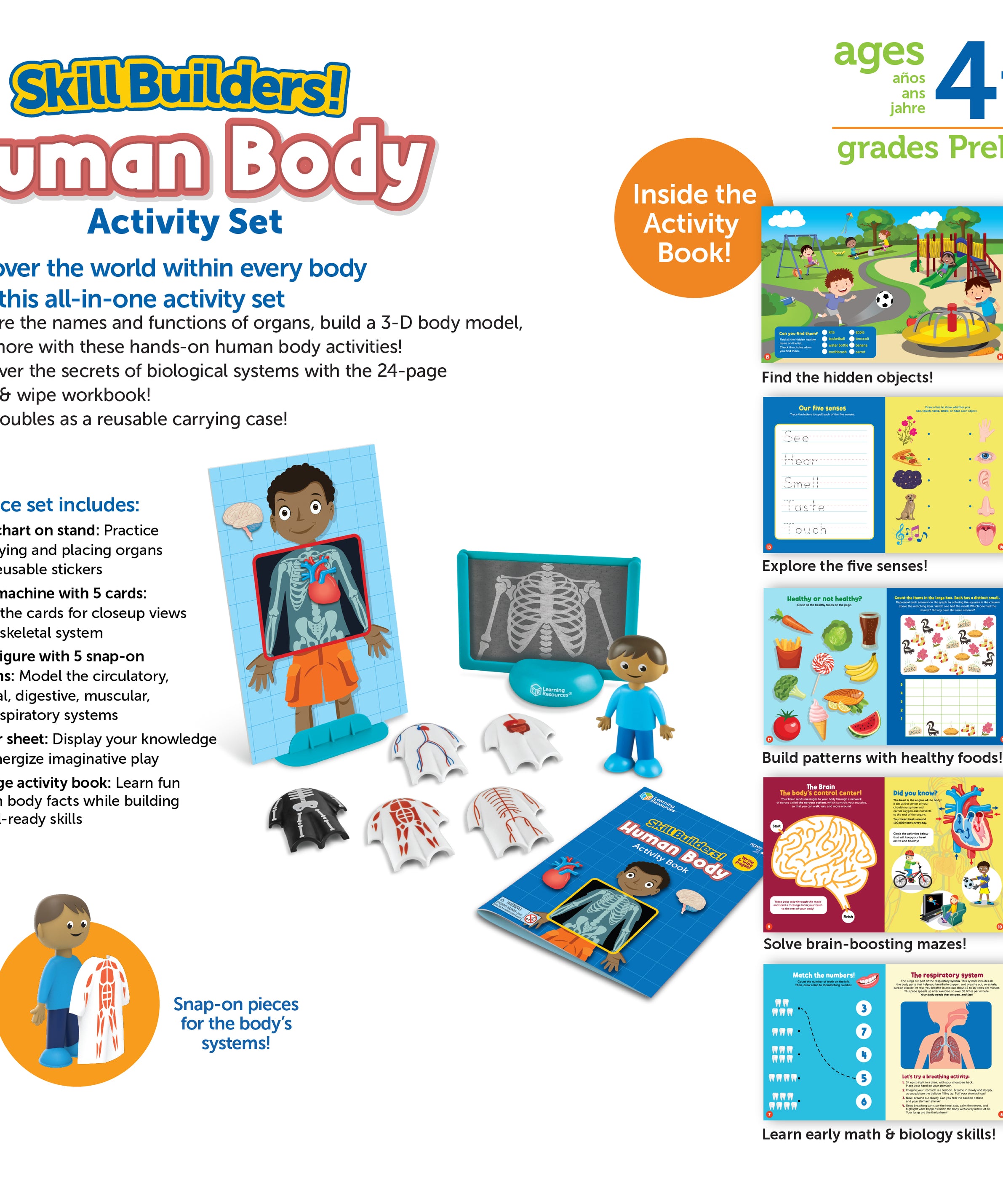 Learning Resources Skill Builders! Human Body, Preschool Science Kit with Activity Book, X-Ray Cards, and 3D Organs, STEM Learning for Ages 4+