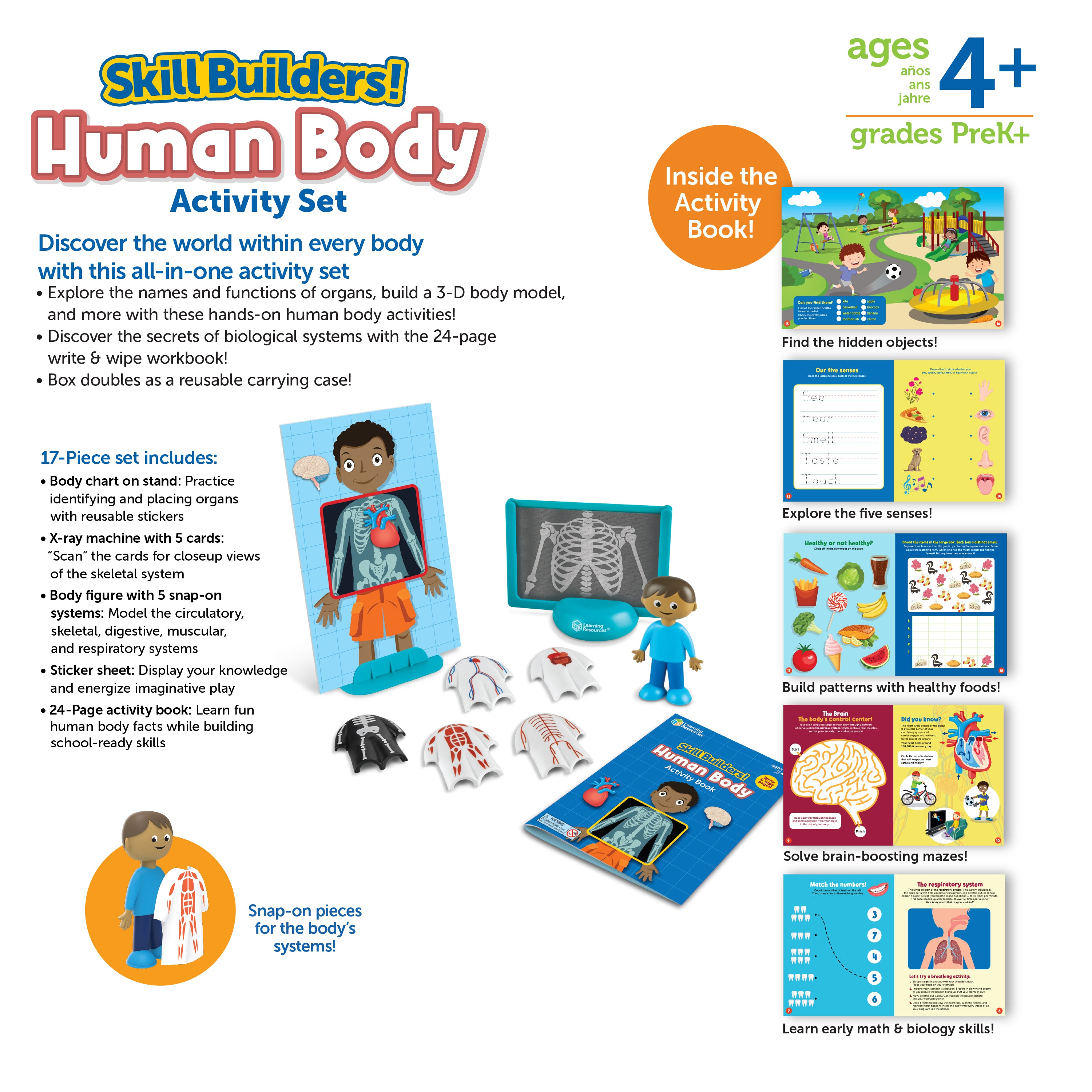 Learning Resources Skill Builders! Human Body, Preschool Science Kit with Activity Book, X-Ray Cards, and 3D Organs, STEM Learning for Ages 4+