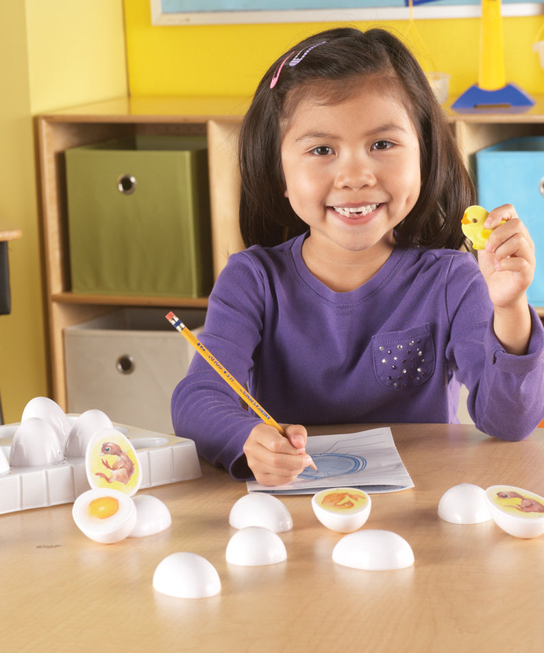 Learning Resources Chick Life Cycle Exploration Set, Hands-On 21-Day Development Learning Toy, STEM Educational Resource, Ages 5+