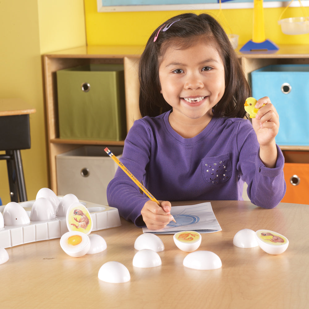 Learning Resources Chick Life Cycle Exploration Set, Hands-On 21-Day Development Learning Toy, STEM Educational Resource, Ages 5+