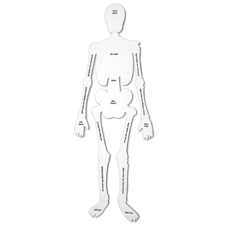 Learning Resources Skeleton Foam Floor Puzzle, 122cm Tall Human Body Learning Toy for Kids, 15 Soft Foam Pieces with Bone Names on Reverse, Educational Anatomy Puzzle for Early Learners
