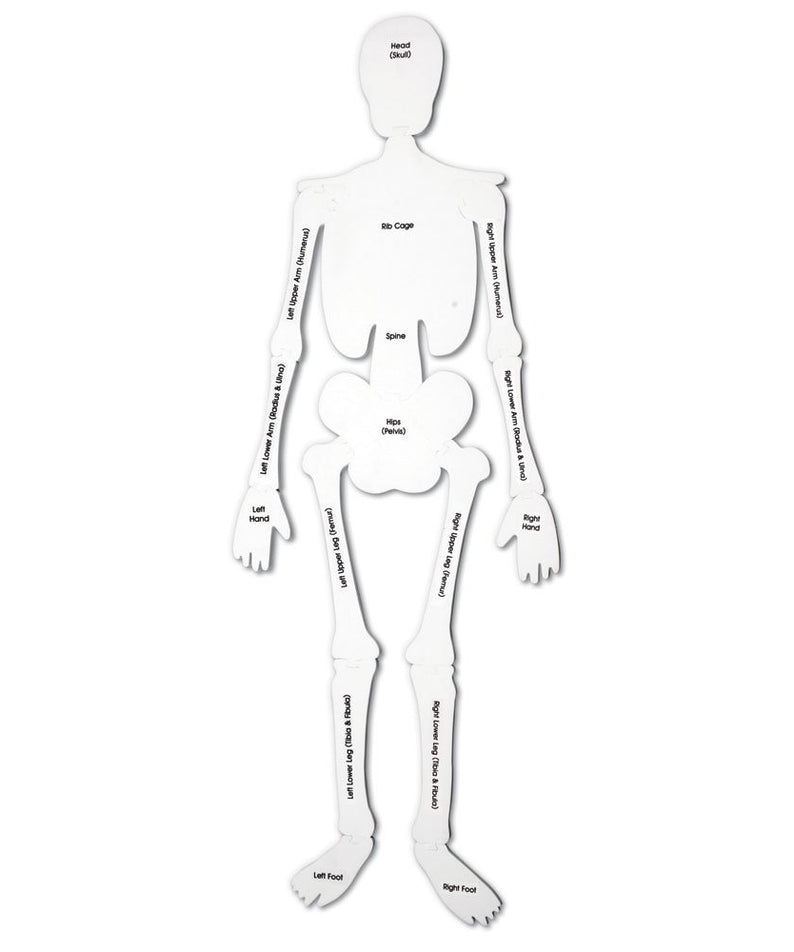 Learning Resources Skeleton Foam Floor Puzzle, 122cm Tall Human Body Learning Toy for Kids, 15 Soft Foam Pieces with Bone Names on Reverse, Educational Anatomy Puzzle for Early Learners