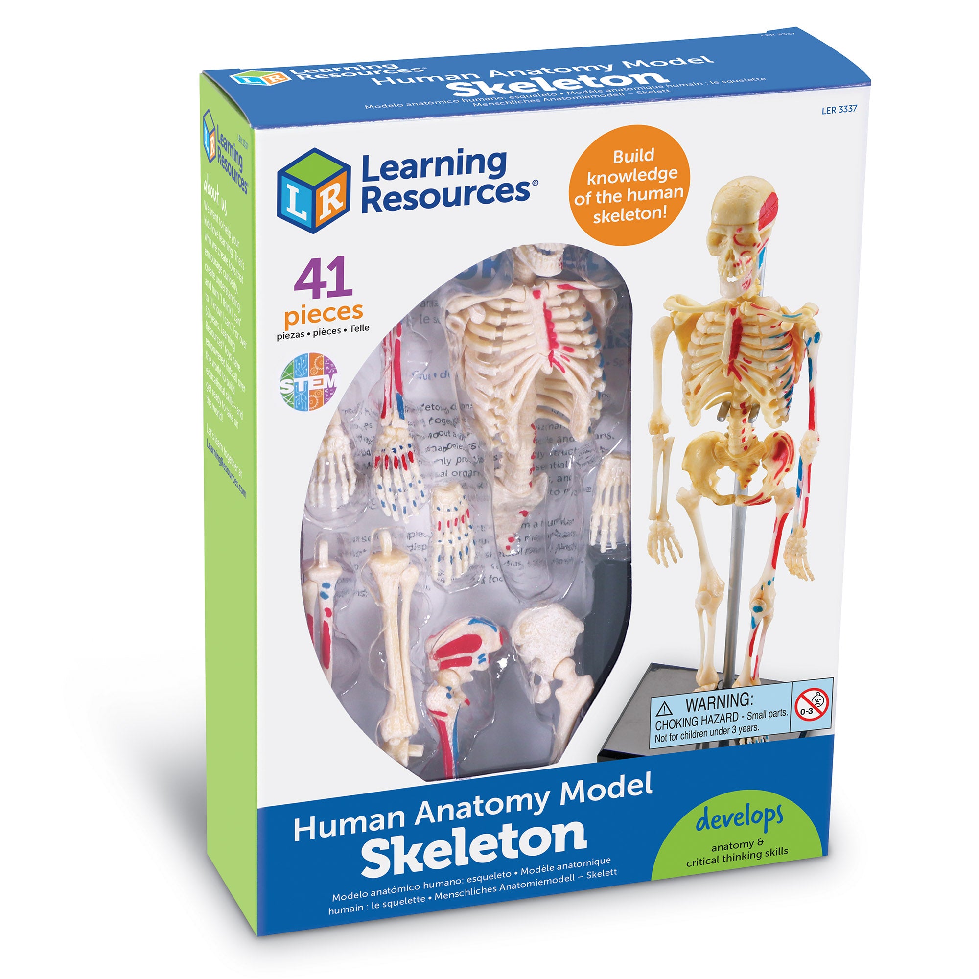 Learning Resources Skeleton Anatomy Model, 41-Piece Human Skeleton Display with Circulatory System, Educational Model for Kids 8+