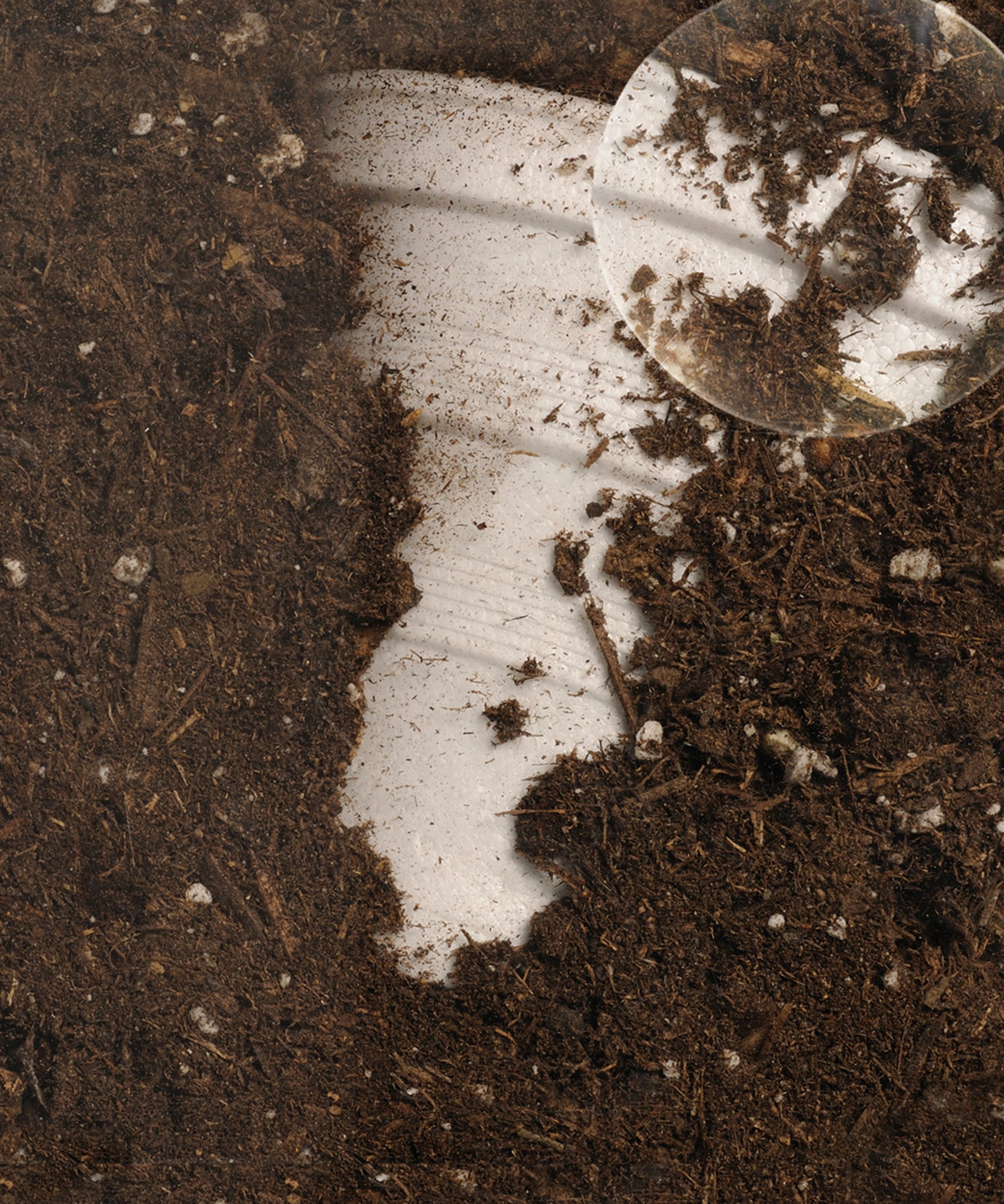 Learning Resources Now You See It, Now You Dont See-Through Compost Container, Interactive Decomposition Learning Kit, STEM Educational Resource, Ages 4+