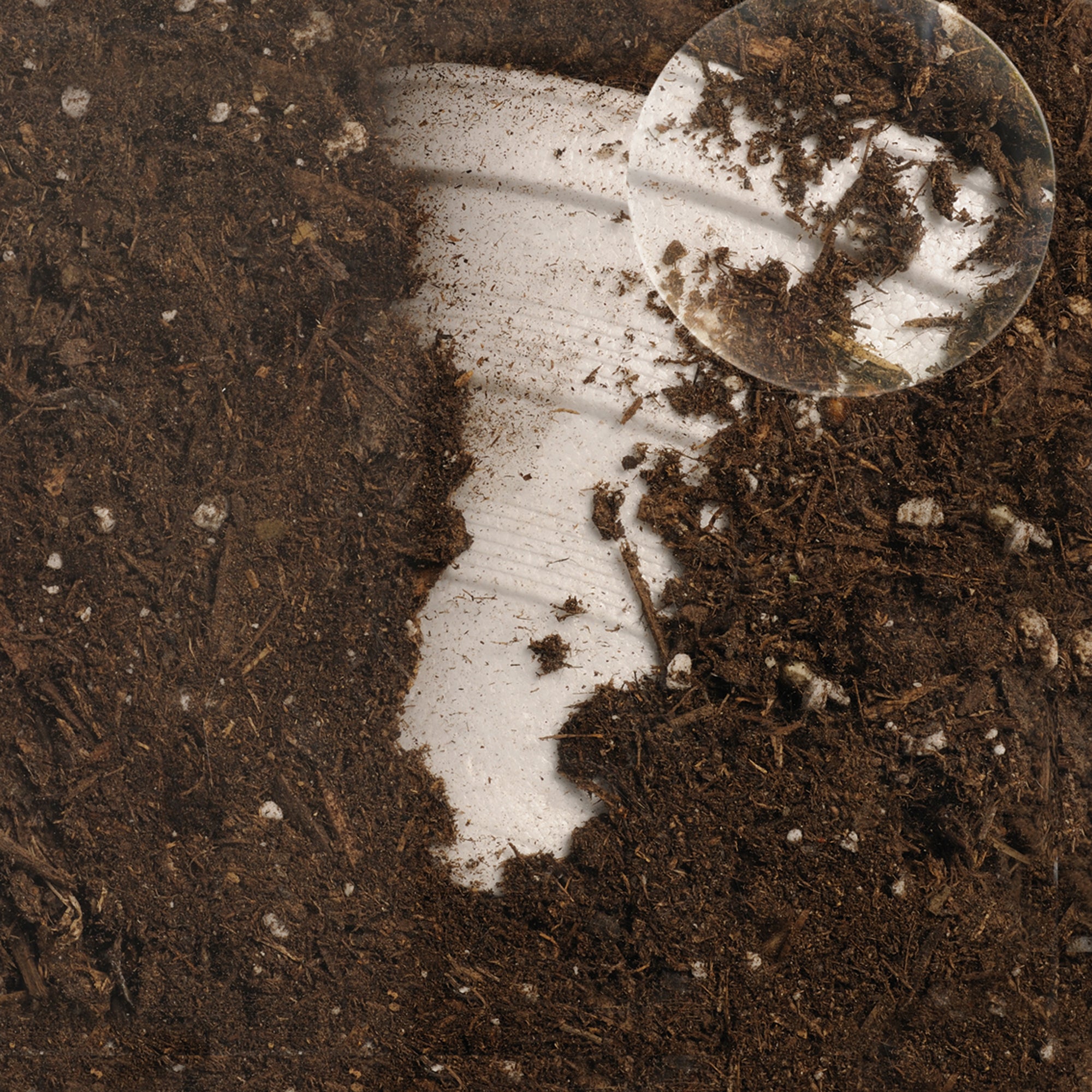 Learning Resources Now You See It, Now You Dont See-Through Compost Container, Interactive Decomposition Learning Kit, STEM Educational Resource, Ages 4+