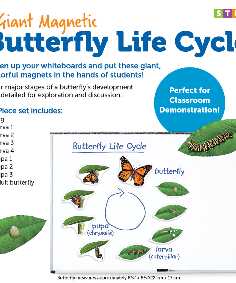 Learning Resources Giant Magnetic Butterfly Life Cycle, Jumbo Educational Magnets for Science Learning, Interactive STEM Resource, Ages 5+