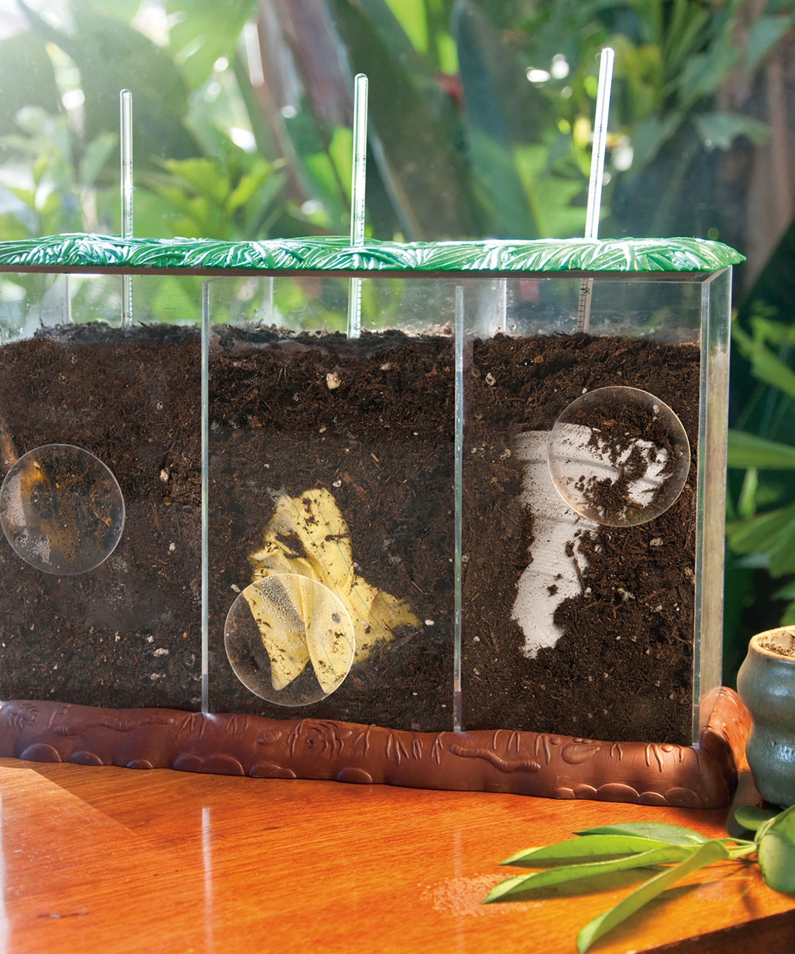 Learning Resources Now You See It, Now You Dont See-Through Compost Container, Interactive Decomposition Learning Kit, STEM Educational Resource, Ages 4+