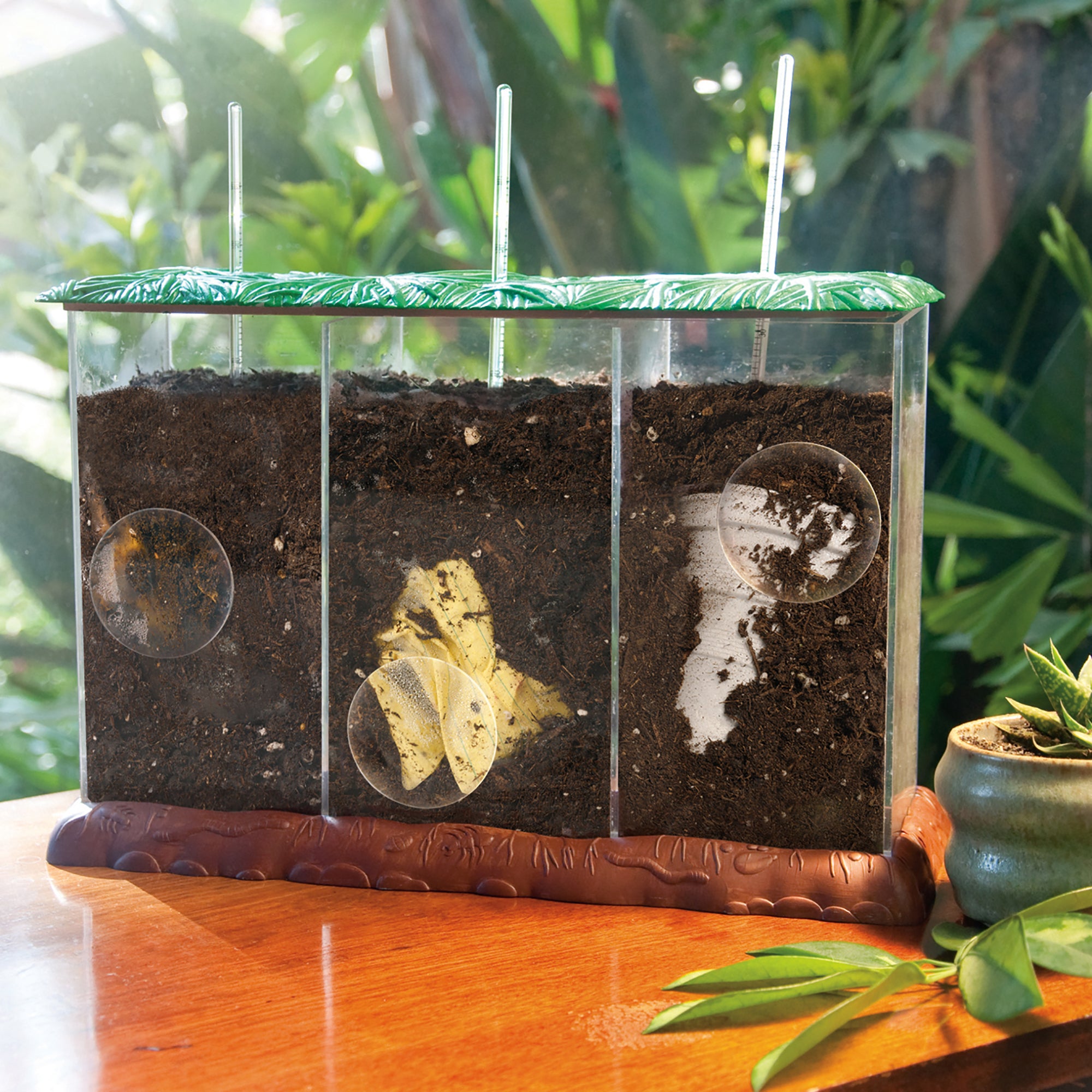 Learning Resources Now You See It, Now You Dont See-Through Compost Container, Interactive Decomposition Learning Kit, STEM Educational Resource, Ages 4+