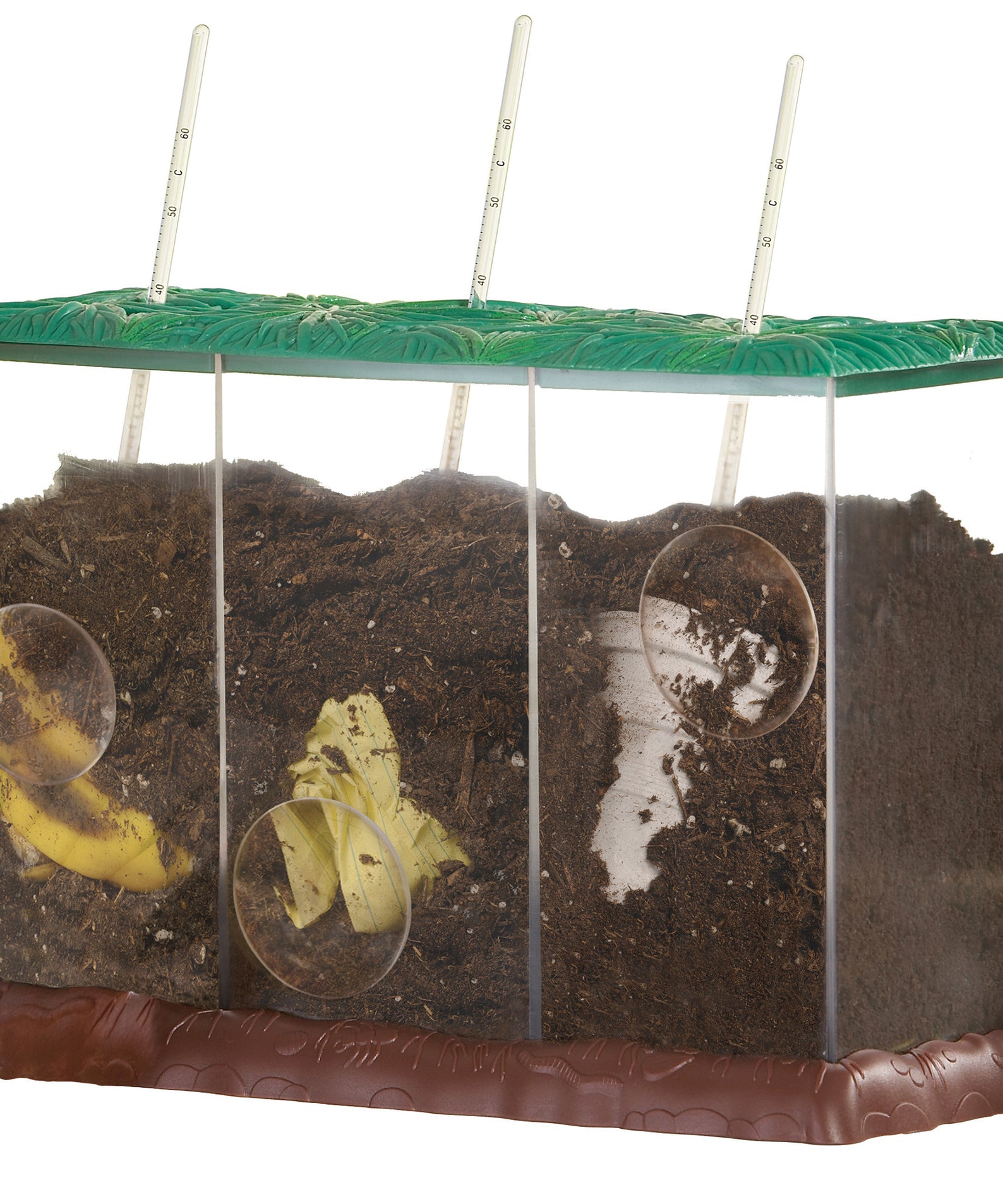 Learning Resources Now You See It, Now You Dont See-Through Compost Container, Interactive Decomposition Learning Kit, STEM Educational Resource, Ages 4+