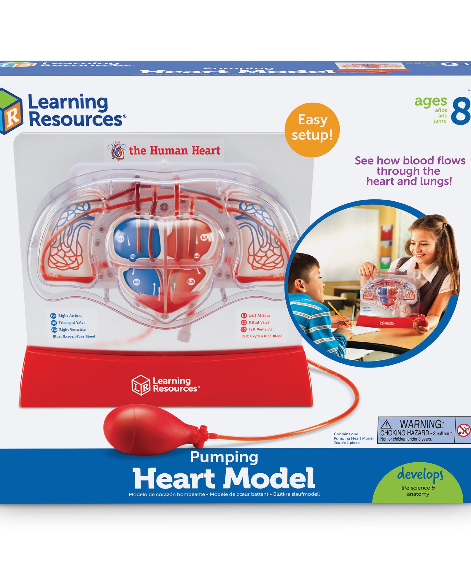 Learning Resources Pumping Heart Model, Interactive Human Anatomy Learning Toy, Demonstrates Blood Flow & Oxygen Exchange, Includes 10 Dye Packs & Activity Guide, Educational Science Kit for Ages 8+