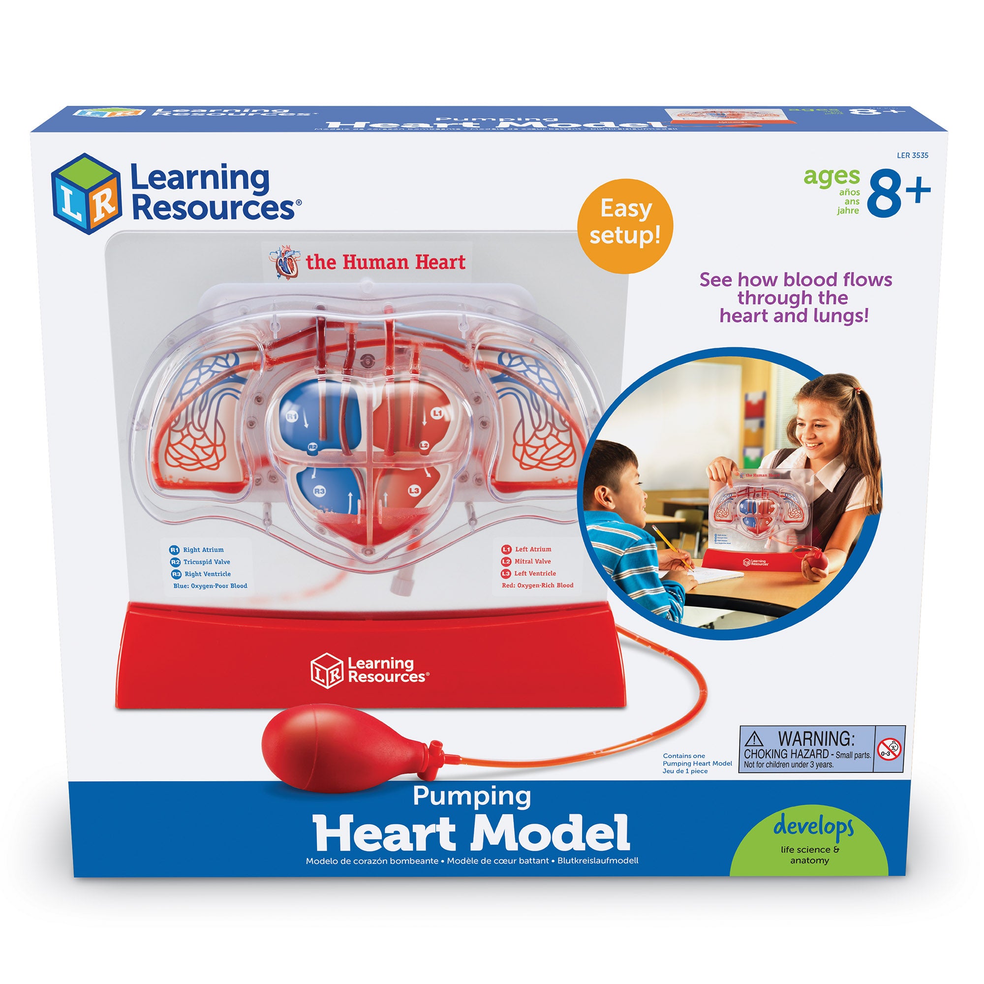 Learning Resources Pumping Heart Model, Interactive Human Anatomy Learning Toy, Demonstrates Blood Flow & Oxygen Exchange, Includes 10 Dye Packs & Activity Guide, Educational Science Kit for Ages 8+