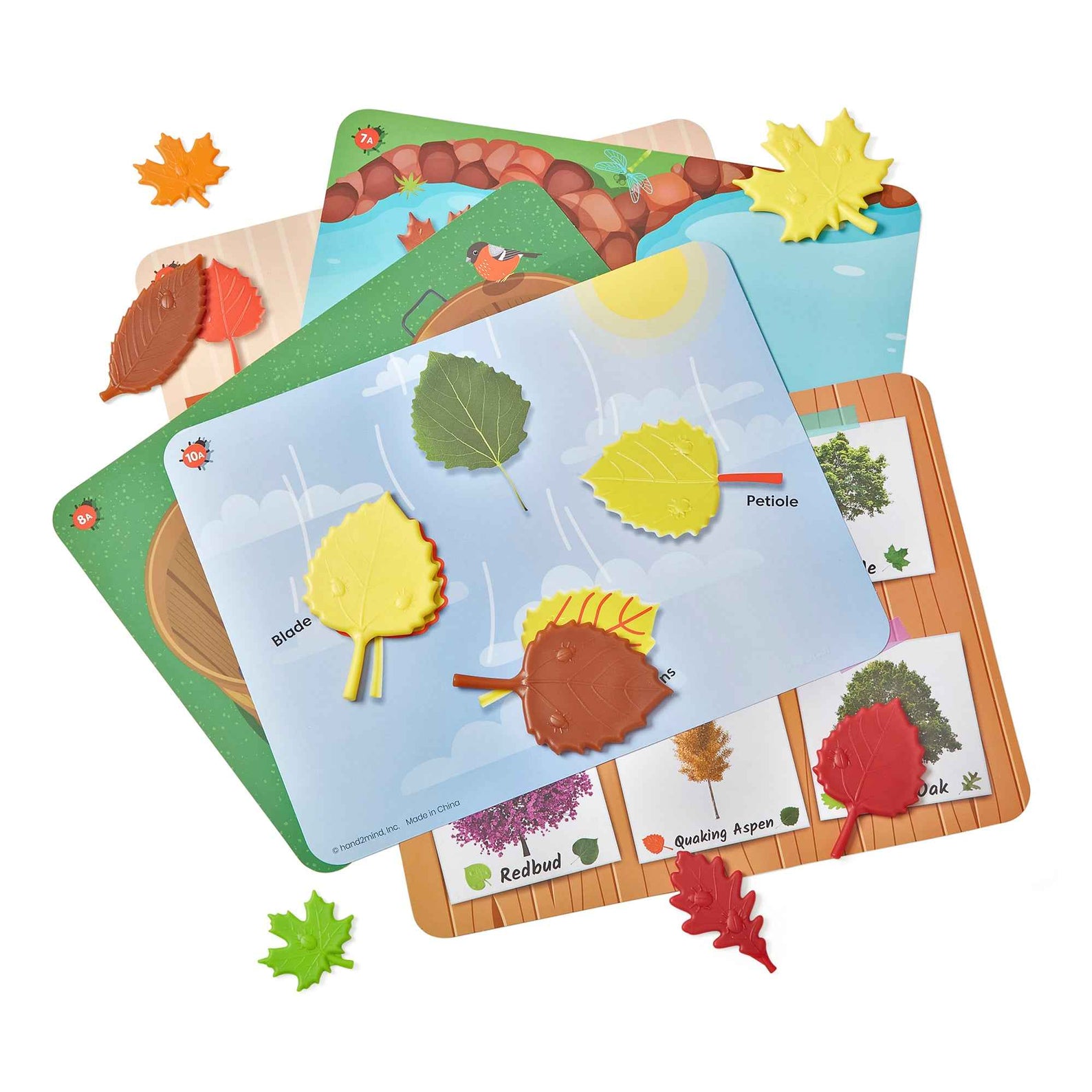 Learning Resources Sensory Leaves Math Activity Set, 36 Leaf-Shaped Counters and 10 Activity Cards, Early Math and Pattern Play, Made from 100 Percent Recycled Plastic, Ages 3+