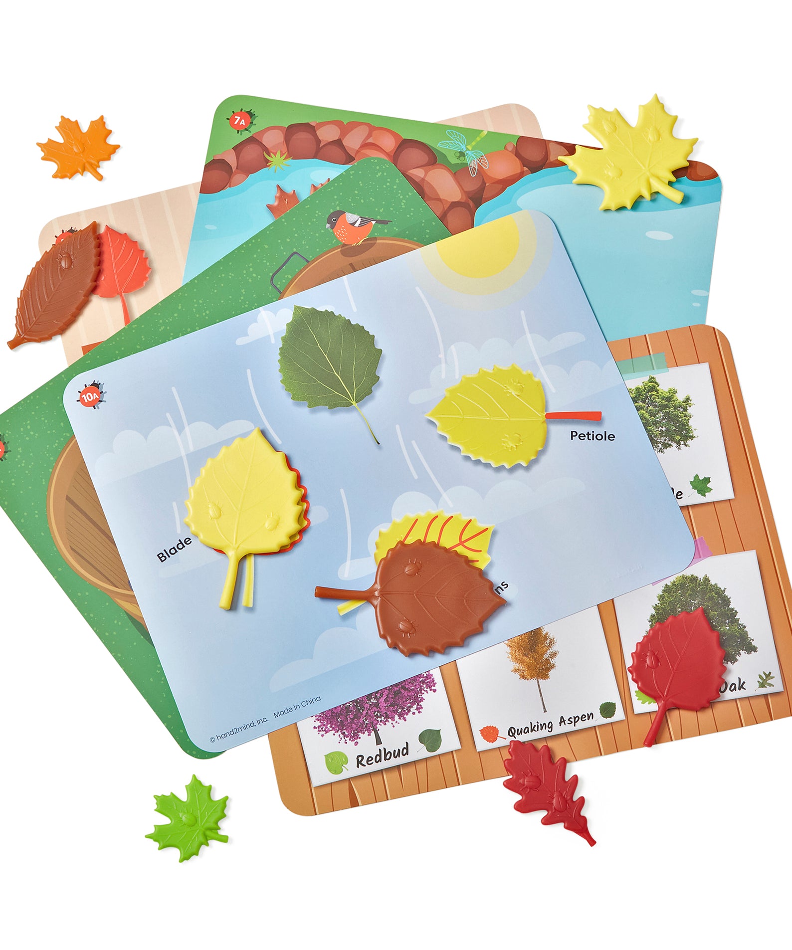 Learning Resources Sensory Leaves Math Activity Set, 36 Leaf-Shaped Counters and 10 Activity Cards, Early Math and Pattern Play, Made from 100 Percent Recycled Plastic, Ages 3+