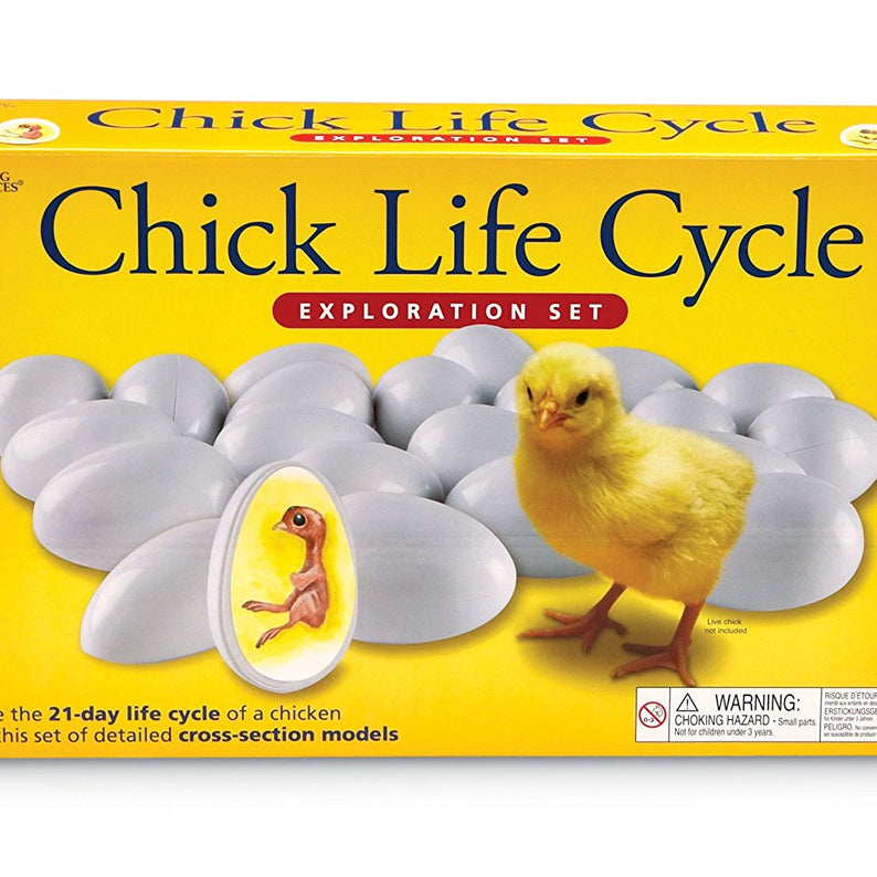 Learning Resources Chick Life Cycle Exploration Set, Hands-On 21-Day Development Learning Toy, STEM Educational Resource, Ages 5+