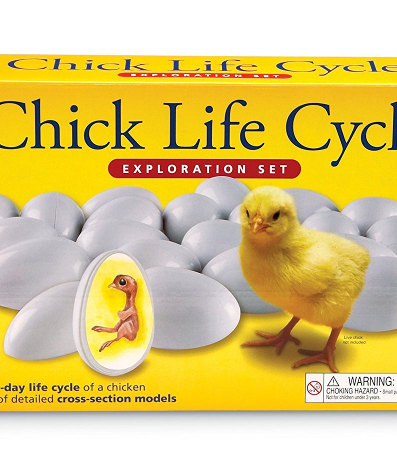 Learning Resources Chick Life Cycle Exploration Set, Hands-On 21-Day Development Learning Toy, STEM Educational Resource, Ages 5+