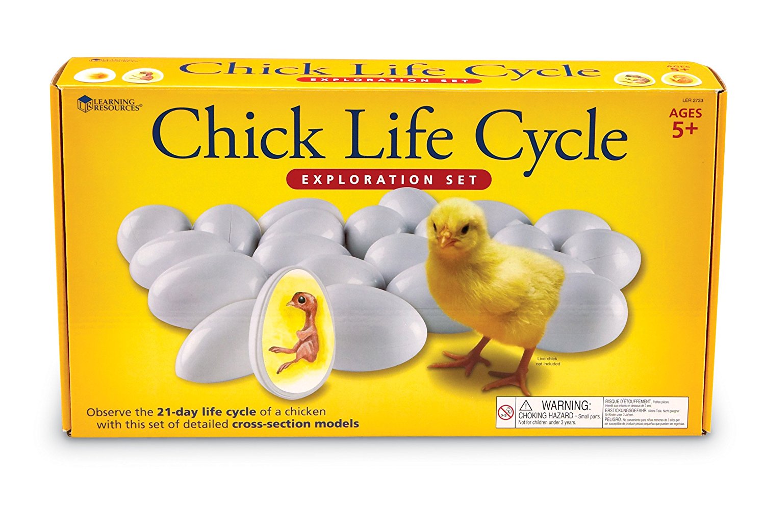 Learning Resources Chick Life Cycle Exploration Set, Hands-On 21-Day Development Learning Toy, STEM Educational Resource, Ages 5+