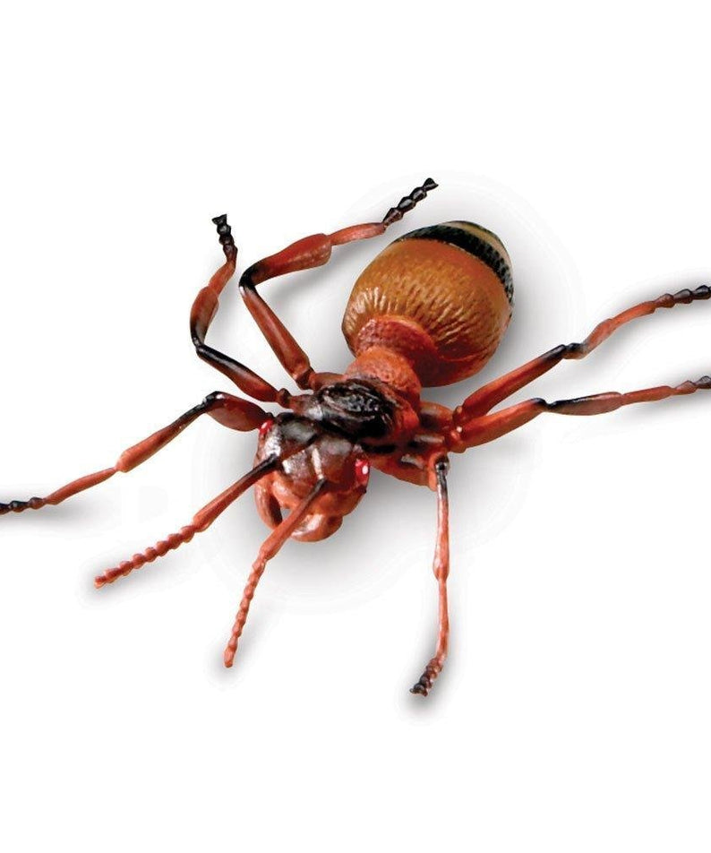 Learning Resources Jumbo Insects Toy Set, 7-Piece Realistic Bug Figures for Kids Imaginative Play and Early Learning