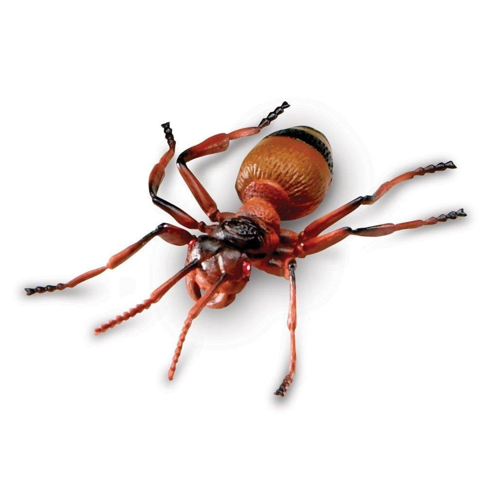 Learning Resources Jumbo Insects Toy Set, 7-Piece Realistic Bug Figures for Kids Imaginative Play and Early Learning