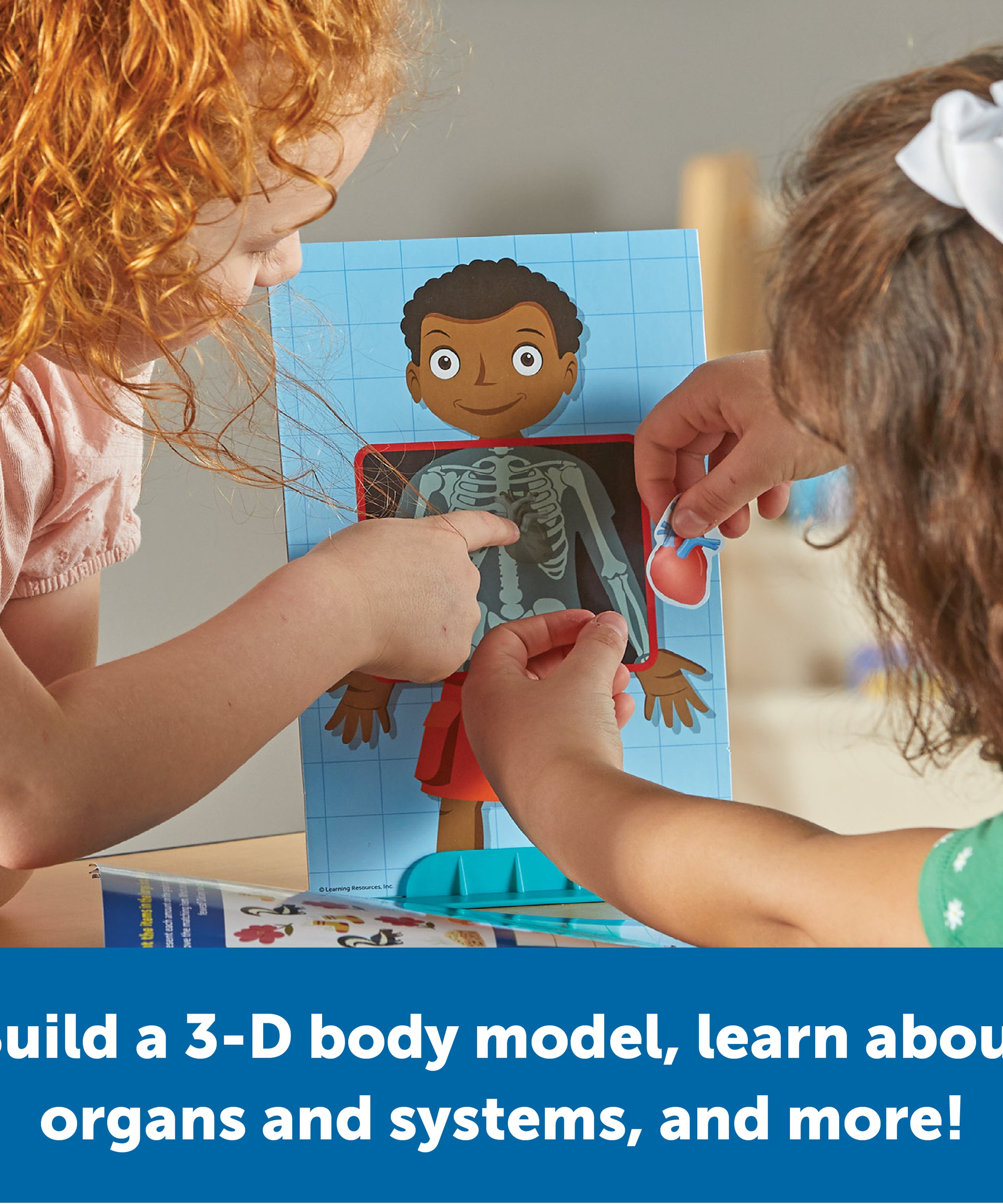 Learning Resources Skill Builders! Human Body, Preschool Science Kit with Activity Book, X-Ray Cards, and 3D Organs, STEM Learning for Ages 4+