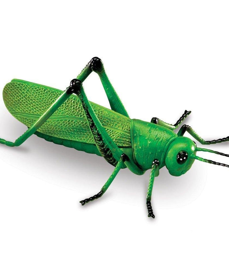 Learning Resources Jumbo Insects Toy Set, 7-Piece Realistic Bug Figures for Kids Imaginative Play and Early Learning