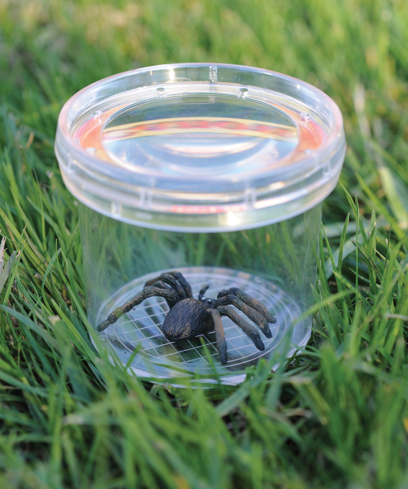 Learning Resources GeoSafari Jr. Bug Viewer, Magnifying Jar for Kids, 3x Magnification, Air Holes for Live Viewing, Measuring Grid Base, Ideal for Outdoor Exploration, Ages 3+