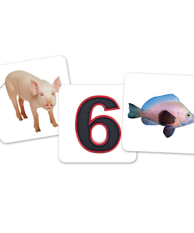 Learning Resources Vowel Owls Sorting Set, Hands-On Literacy Activity for Kids with 100 Picture Cards and 6 Owl Containers, Teaches Short and Long Vowel Sounds, Ages 5+