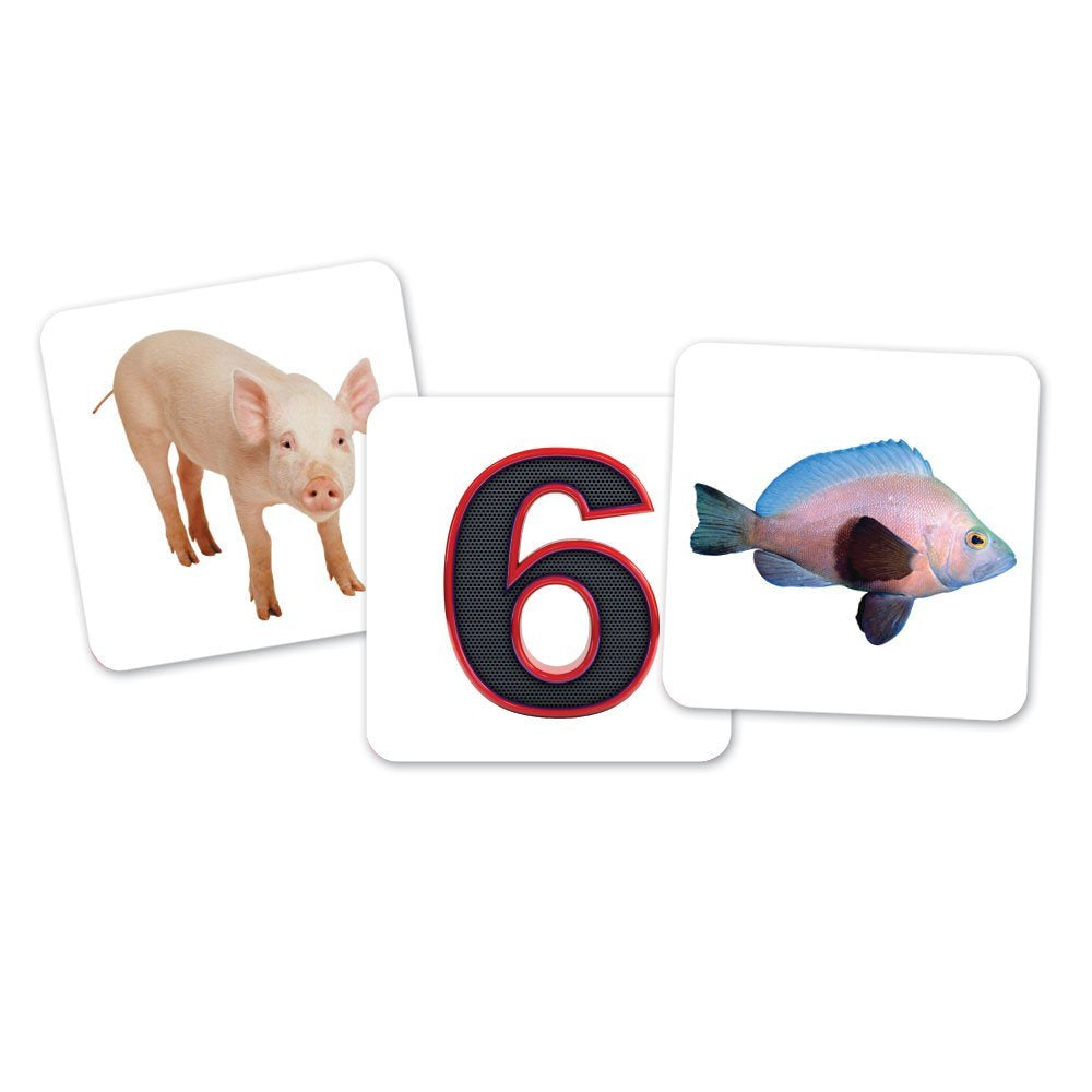 Learning Resources Vowel Owls Sorting Set, Hands-On Literacy Activity for Kids with 100 Picture Cards and 6 Owl Containers, Teaches Short and Long Vowel Sounds, Ages 5+