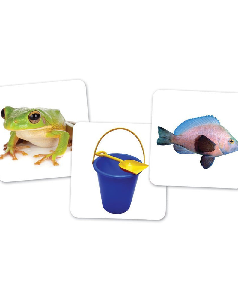 Learning Resources Vowel Owls Sorting Set, Hands-On Literacy Activity for Kids with 100 Picture Cards and 6 Owl Containers, Teaches Short and Long Vowel Sounds, Ages 5+