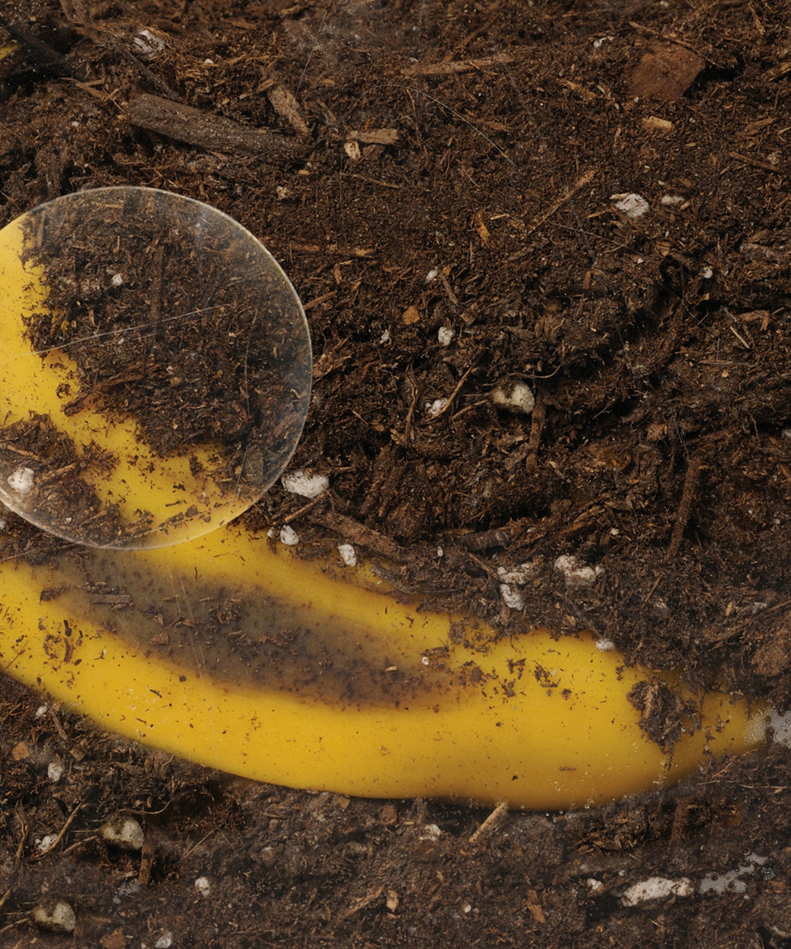 Learning Resources Now You See It, Now You Dont See-Through Compost Container, Interactive Decomposition Learning Kit, STEM Educational Resource, Ages 4+